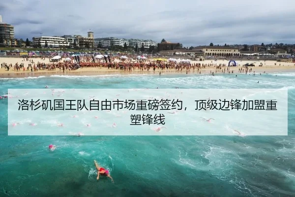 洛杉矶国王队自由市场重磅签约，顶级边锋加盟重塑锋线